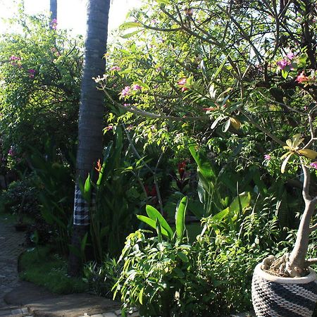 Cleopatra Beach Bungalows Lovina Exterior foto
