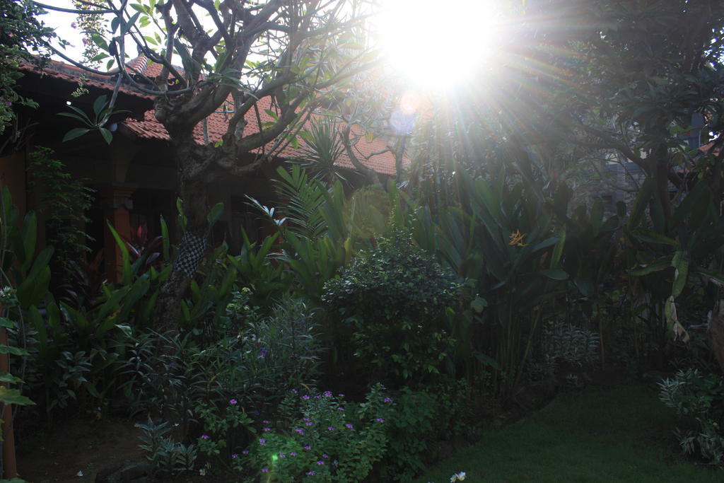 Cleopatra Beach Bungalows Lovina Exterior foto