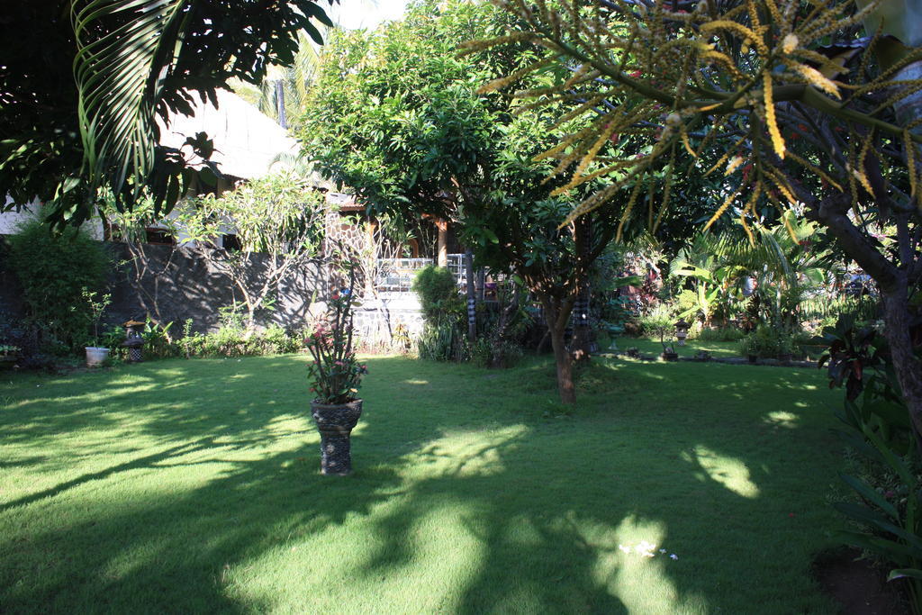Cleopatra Beach Bungalows Lovina Quarto foto